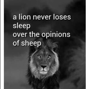 Meet your Posher, Peter